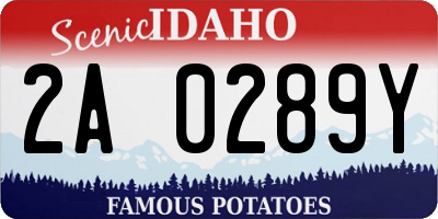 ID license plate 2A0289Y