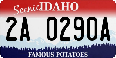 ID license plate 2A0290A