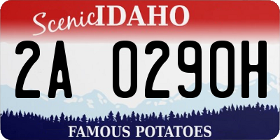 ID license plate 2A0290H