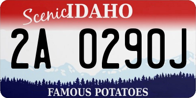 ID license plate 2A0290J