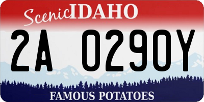 ID license plate 2A0290Y