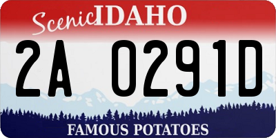 ID license plate 2A0291D