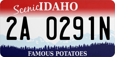 ID license plate 2A0291N