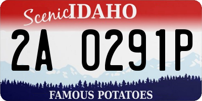 ID license plate 2A0291P