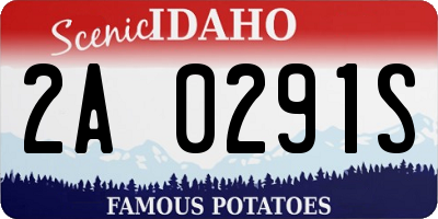 ID license plate 2A0291S
