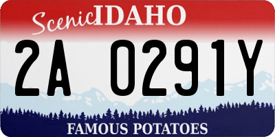 ID license plate 2A0291Y
