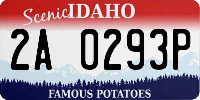 ID license plate 2A0293P
