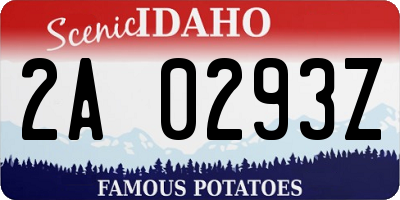 ID license plate 2A0293Z