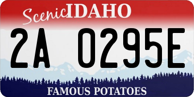 ID license plate 2A0295E