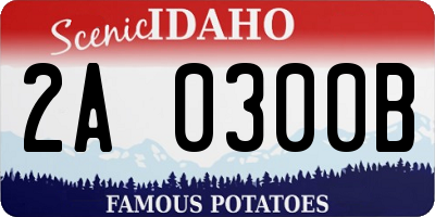 ID license plate 2A0300B