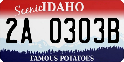 ID license plate 2A0303B