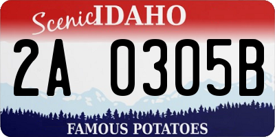 ID license plate 2A0305B