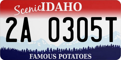 ID license plate 2A0305T