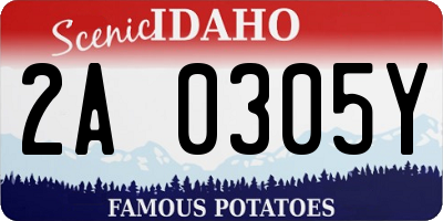 ID license plate 2A0305Y