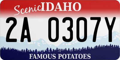 ID license plate 2A0307Y