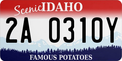 ID license plate 2A0310Y