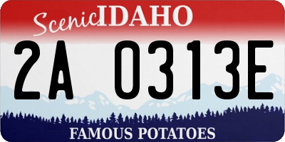 ID license plate 2A0313E