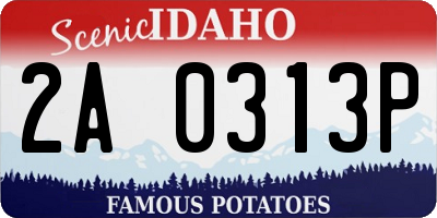 ID license plate 2A0313P