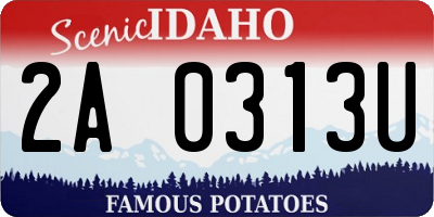 ID license plate 2A0313U