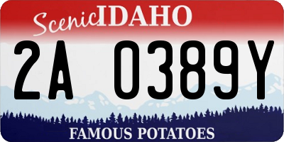 ID license plate 2A0389Y