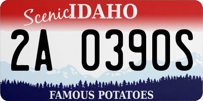 ID license plate 2A0390S