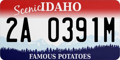 ID license plate 2A0391M