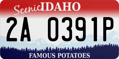 ID license plate 2A0391P