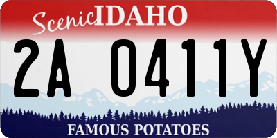 ID license plate 2A0411Y
