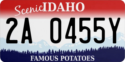 ID license plate 2A0455Y