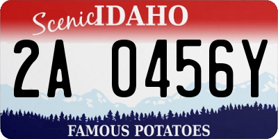 ID license plate 2A0456Y