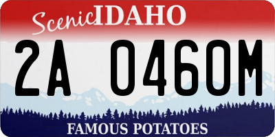 ID license plate 2A0460M