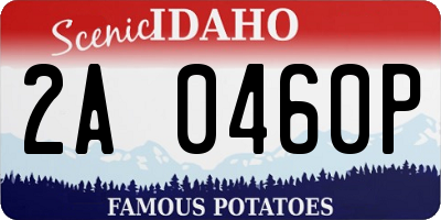 ID license plate 2A0460P