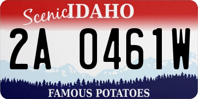 ID license plate 2A0461W