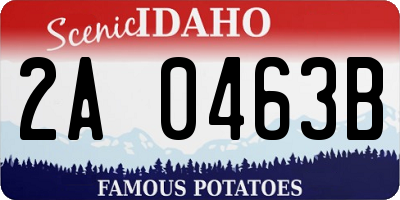 ID license plate 2A0463B