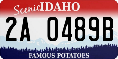 ID license plate 2A0489B