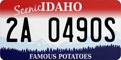 ID license plate 2A0490S