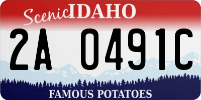 ID license plate 2A0491C