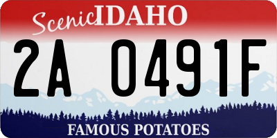 ID license plate 2A0491F