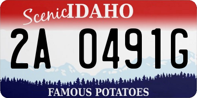 ID license plate 2A0491G