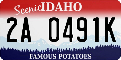 ID license plate 2A0491K
