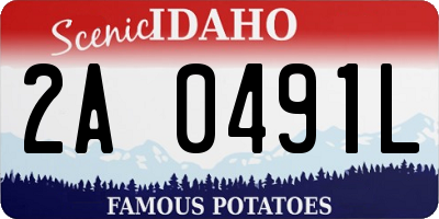 ID license plate 2A0491L