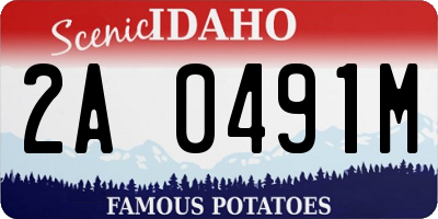 ID license plate 2A0491M