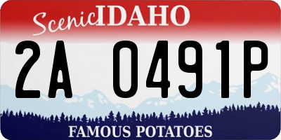 ID license plate 2A0491P