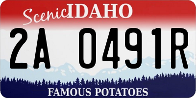 ID license plate 2A0491R