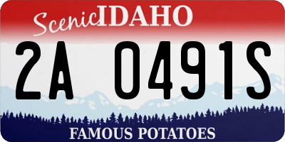 ID license plate 2A0491S