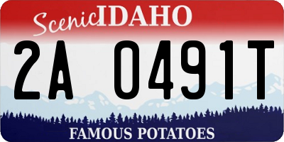 ID license plate 2A0491T
