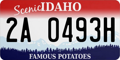 ID license plate 2A0493H