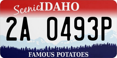 ID license plate 2A0493P