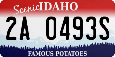 ID license plate 2A0493S