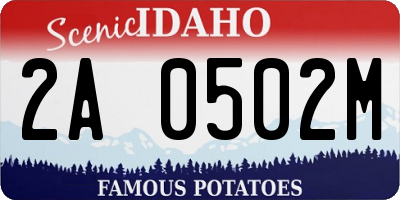 ID license plate 2A0502M